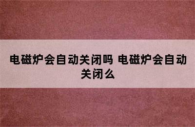 电磁炉会自动关闭吗 电磁炉会自动关闭么